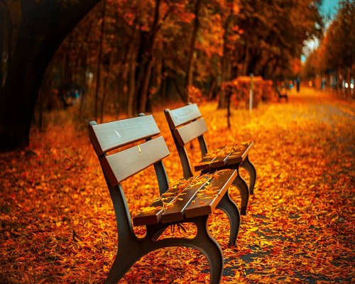 Man stretching and resting on a park bench